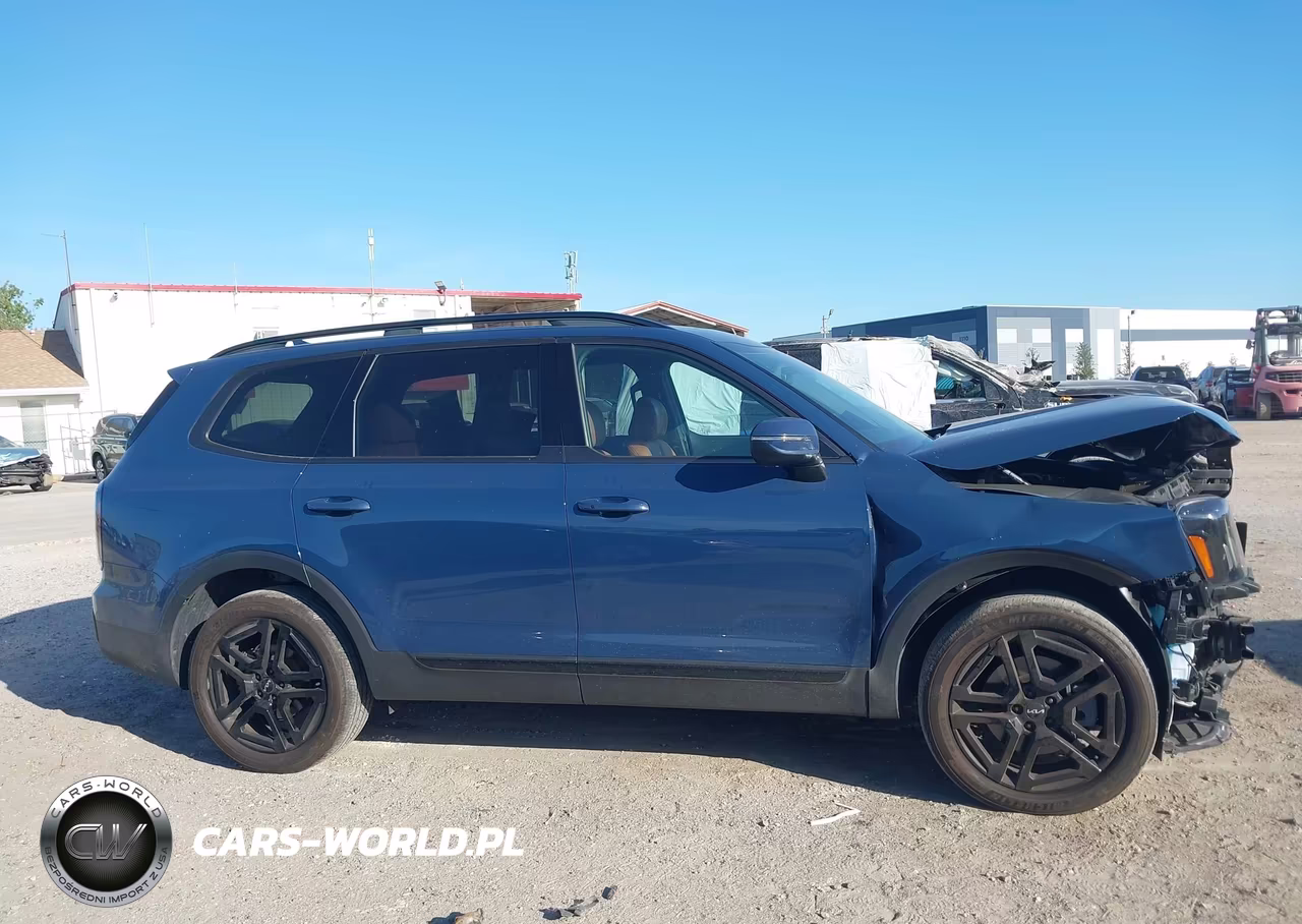 2024 Kia Telluride Ex X-Line VIN:5XYP3DGC1RG479890 - 14
