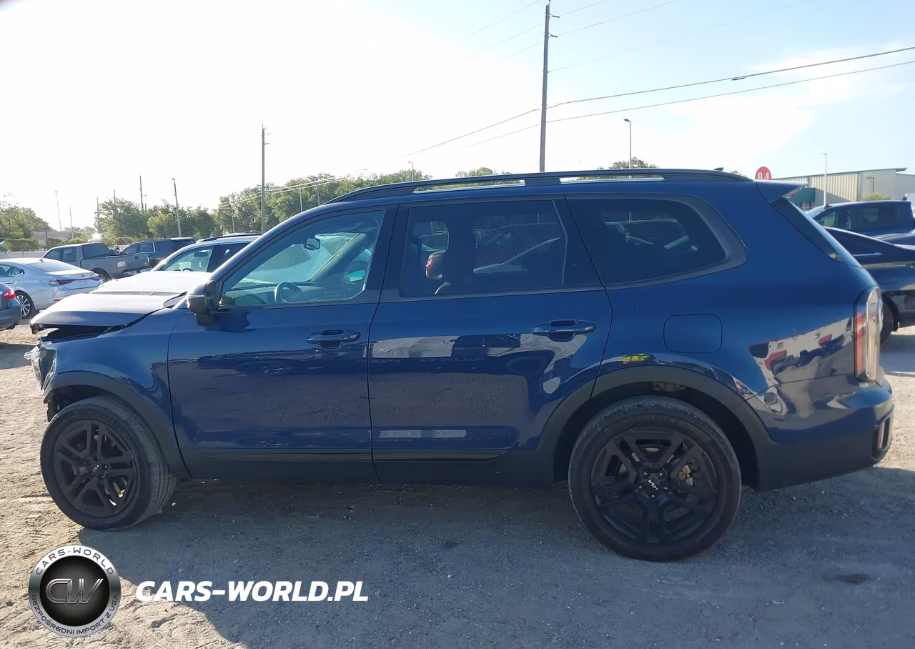 2024 Kia Telluride Ex X-Line VIN:5XYP3DGC1RG479890 - 15