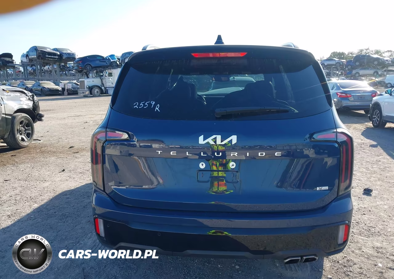 2024 Kia Telluride Ex X-Line VIN:5XYP3DGC1RG479890 - 17