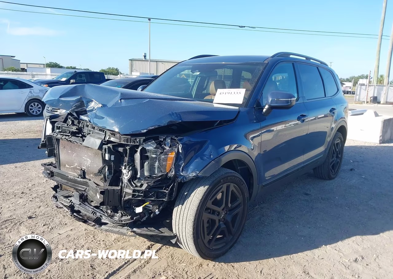 2024 Kia Telluride Ex X-Line VIN:5XYP3DGC1RG479890 - 2