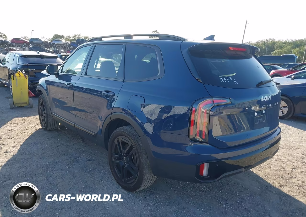 2024 Kia Telluride Ex X-Line VIN:5XYP3DGC1RG479890 - 3