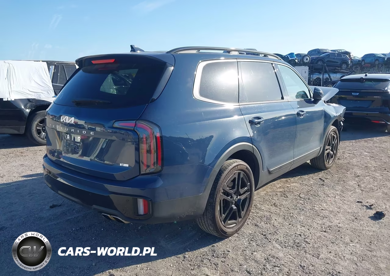 2024 Kia Telluride Ex X-Line VIN:5XYP3DGC1RG479890 - 4
