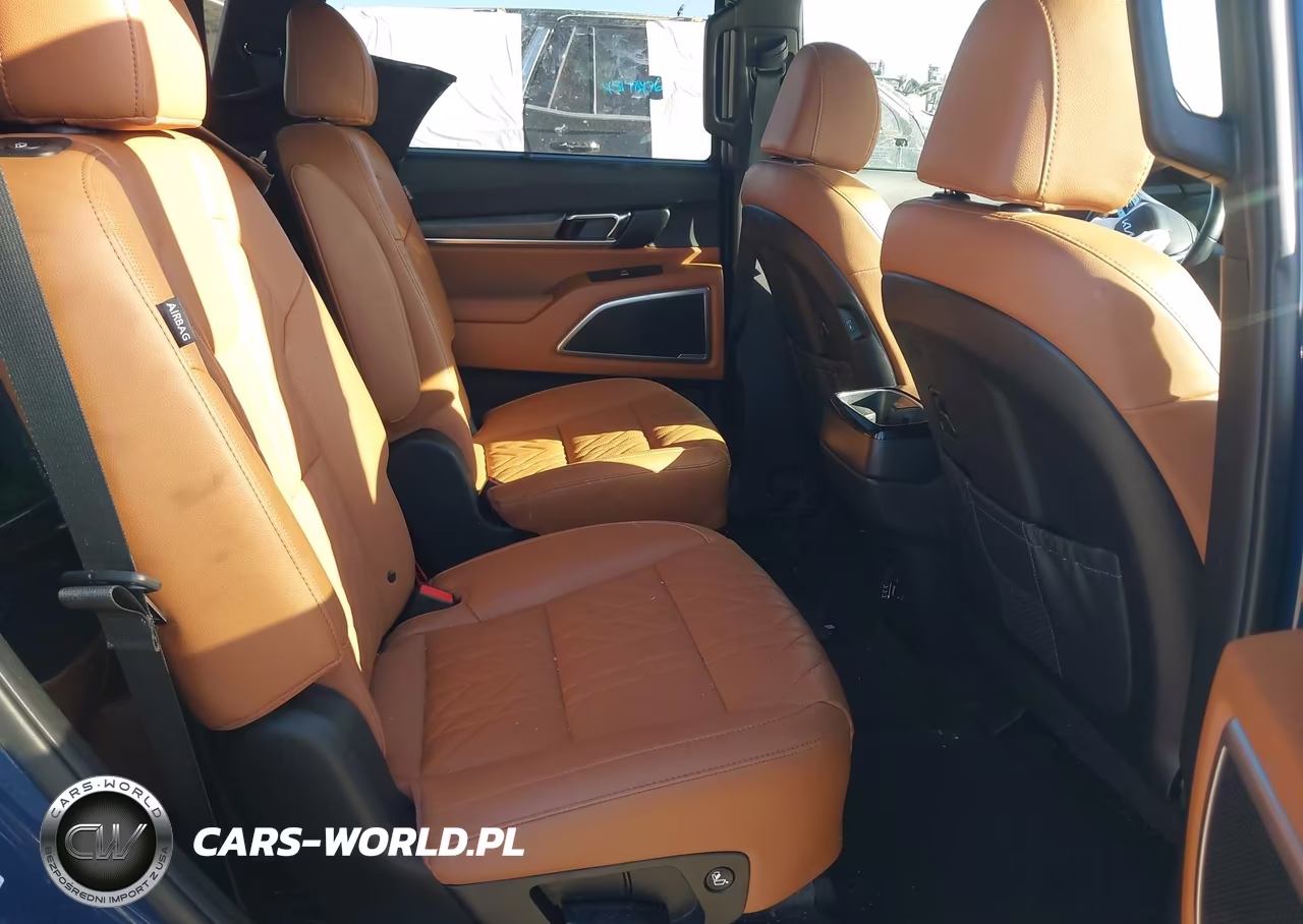 2024 Kia Telluride Ex X-Line VIN:5XYP3DGC1RG479890 - 8