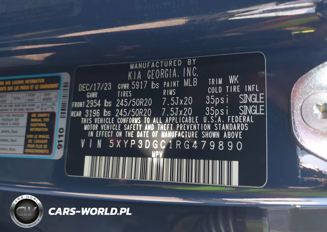 2024 Kia Telluride Ex X-Line VIN:5XYP3DGC1RG479890 - 9
