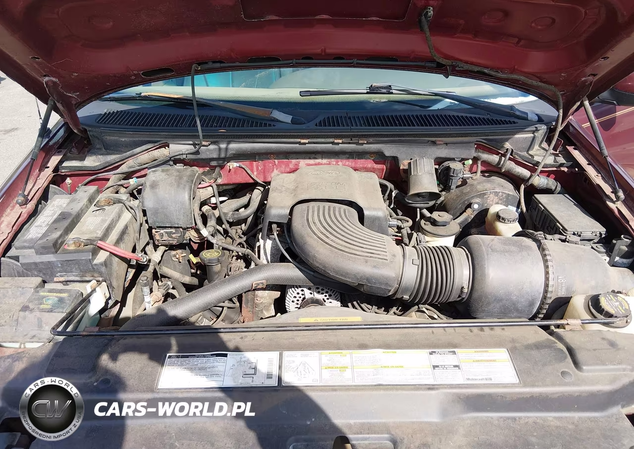 1999 Ford F-150 Lariat-Work Series-Xl-Xlt VIN:1FTRX17W3XNA82435 - 10