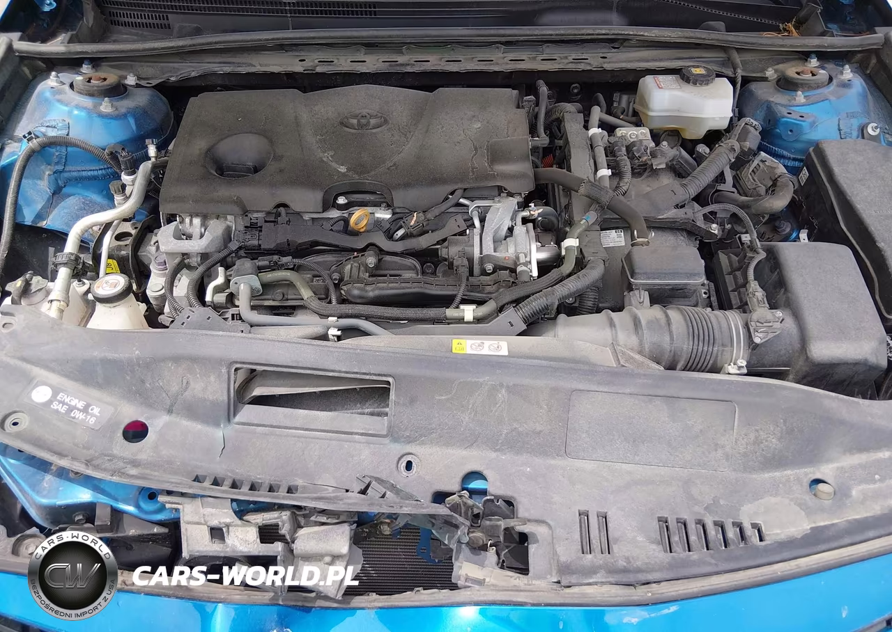 2019 Toyota Camry Hybrid Le VIN:4T1B31HK9KU006558 - 10