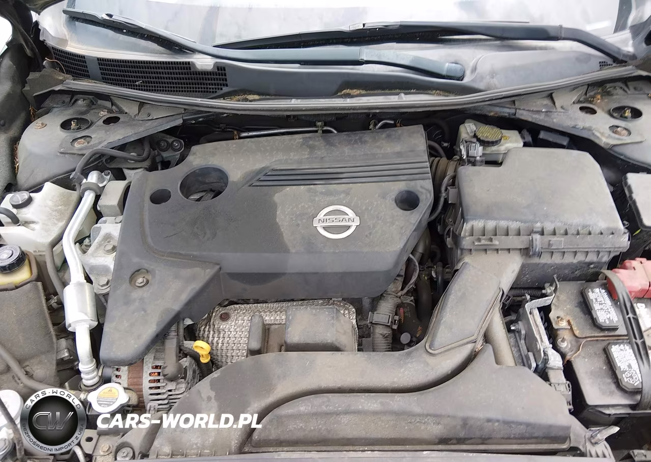 2015 Nissan Altima 2.5 Sl VIN:1N4AL3AP5FN339248 - 10