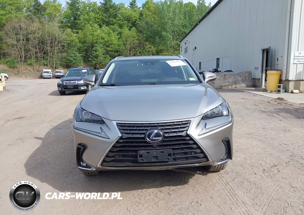 2021 Lexus Nx 300H VIN:JTJGJRDZXM2152304 - 13