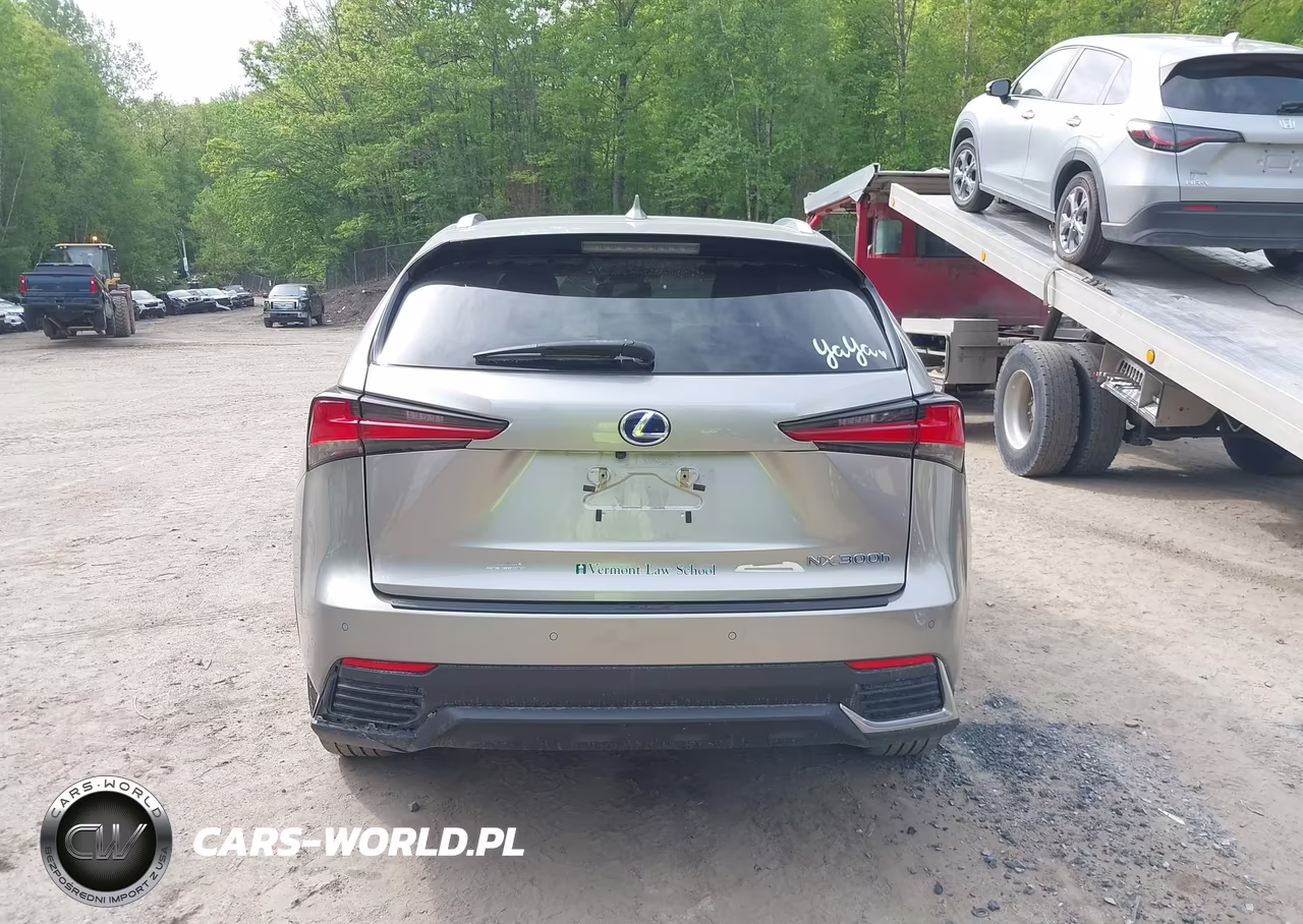 2021 Lexus Nx 300H VIN:JTJGJRDZXM2152304 - 17
