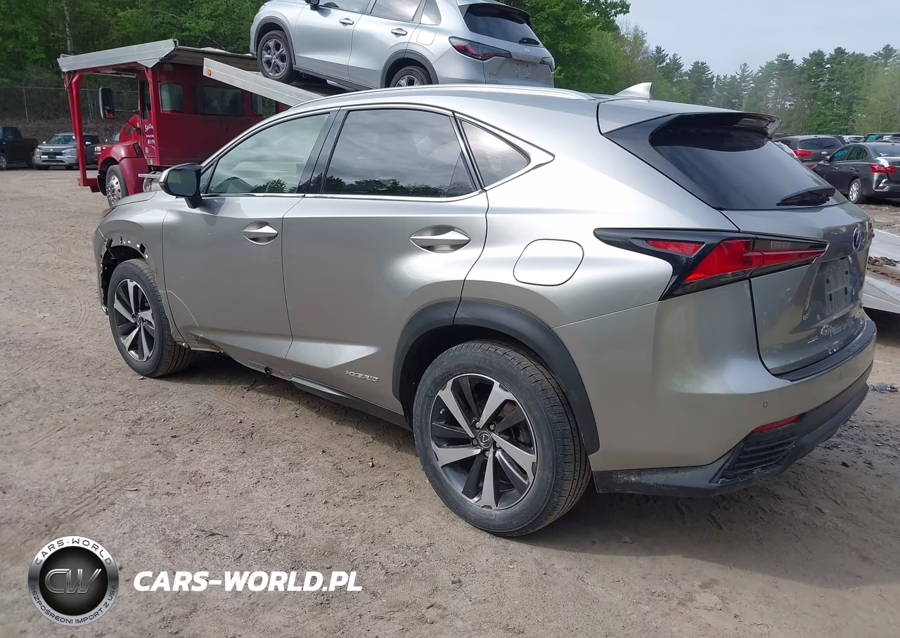 2021 Lexus Nx 300H VIN:JTJGJRDZXM2152304 - 3