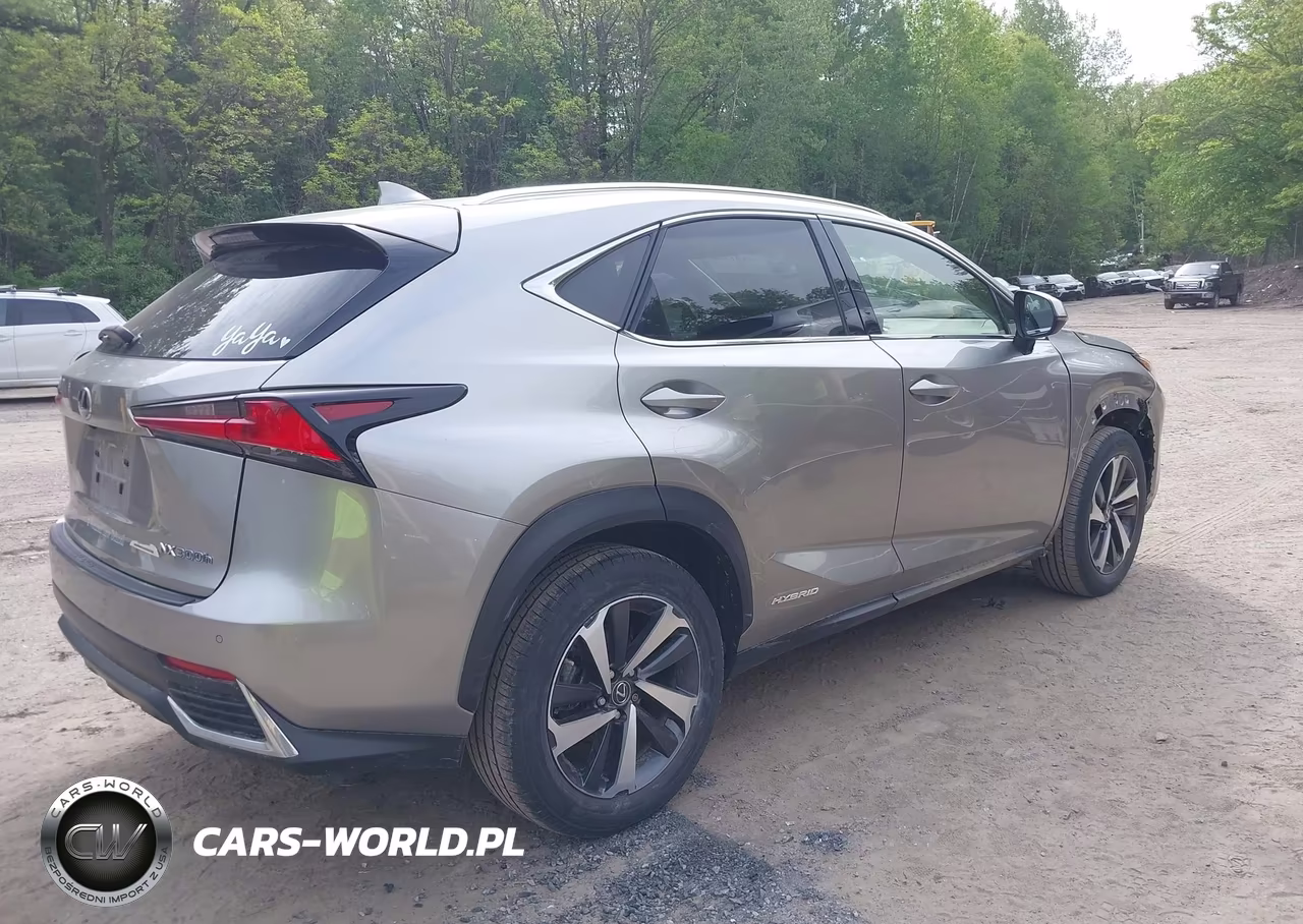 2021 Lexus Nx 300H VIN:JTJGJRDZXM2152304 - 4
