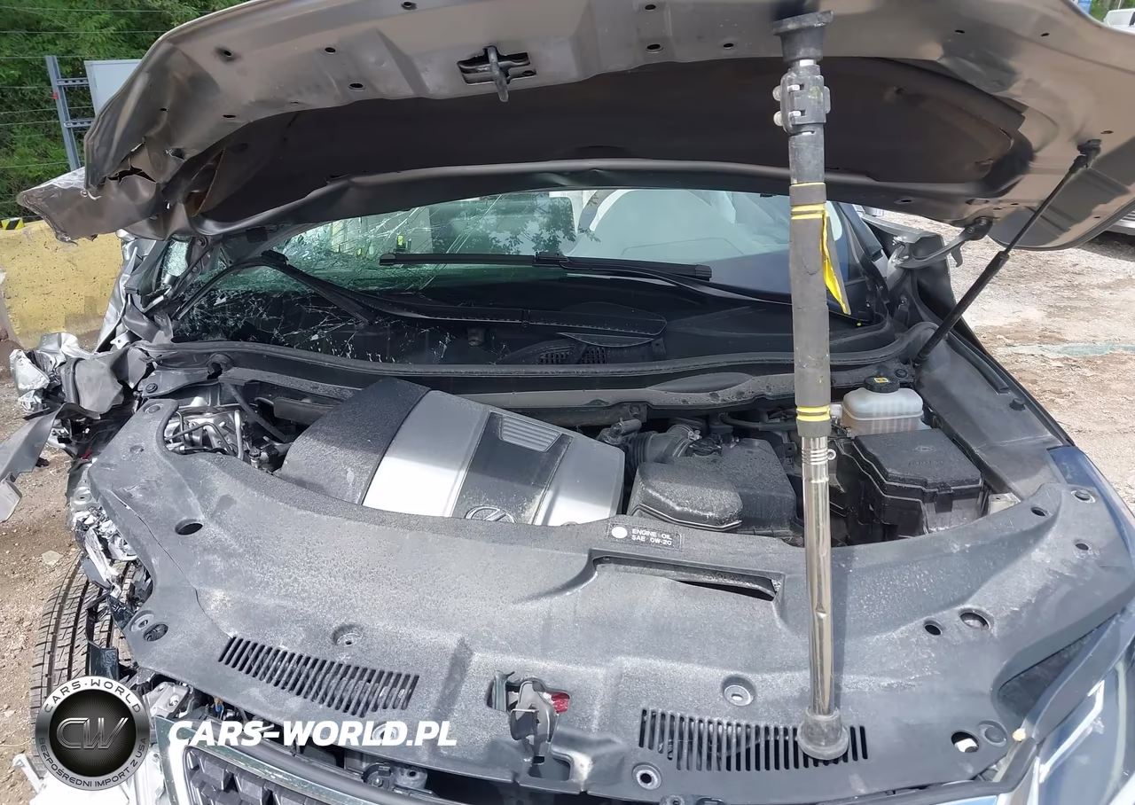 2021 Lexus Rx 350L VIN:JTJHZKFA6M2032463 - 10