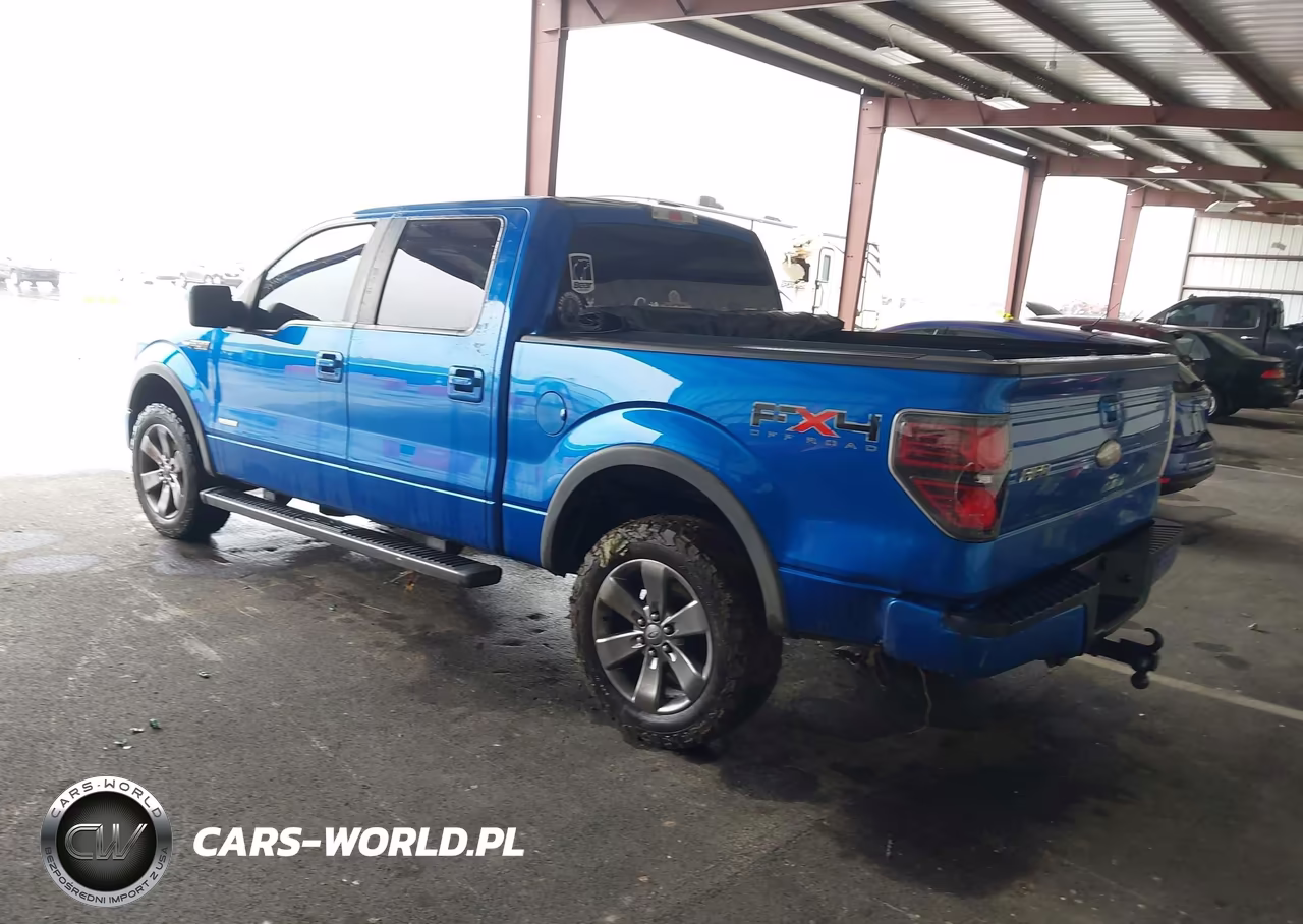2011 Ford F-150 Fx4 VIN:1FTFW1ET4BFC19142 - 3
