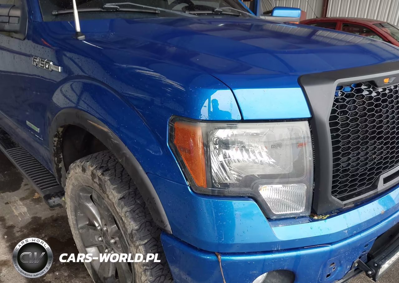 2011 Ford F-150 Fx4 VIN:1FTFW1ET4BFC19142 - 6