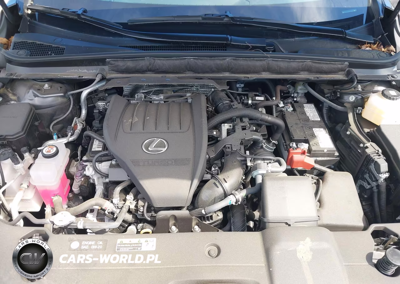 2024 Lexus Rx 350 Premium VIN:2T2BAMCA6RC086754 - 10