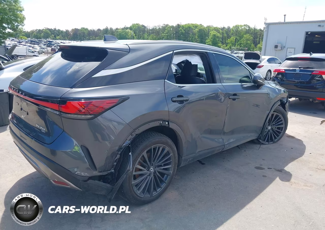 2024 Lexus Rx 350 Premium VIN:2T2BAMCA6RC086754 - 4