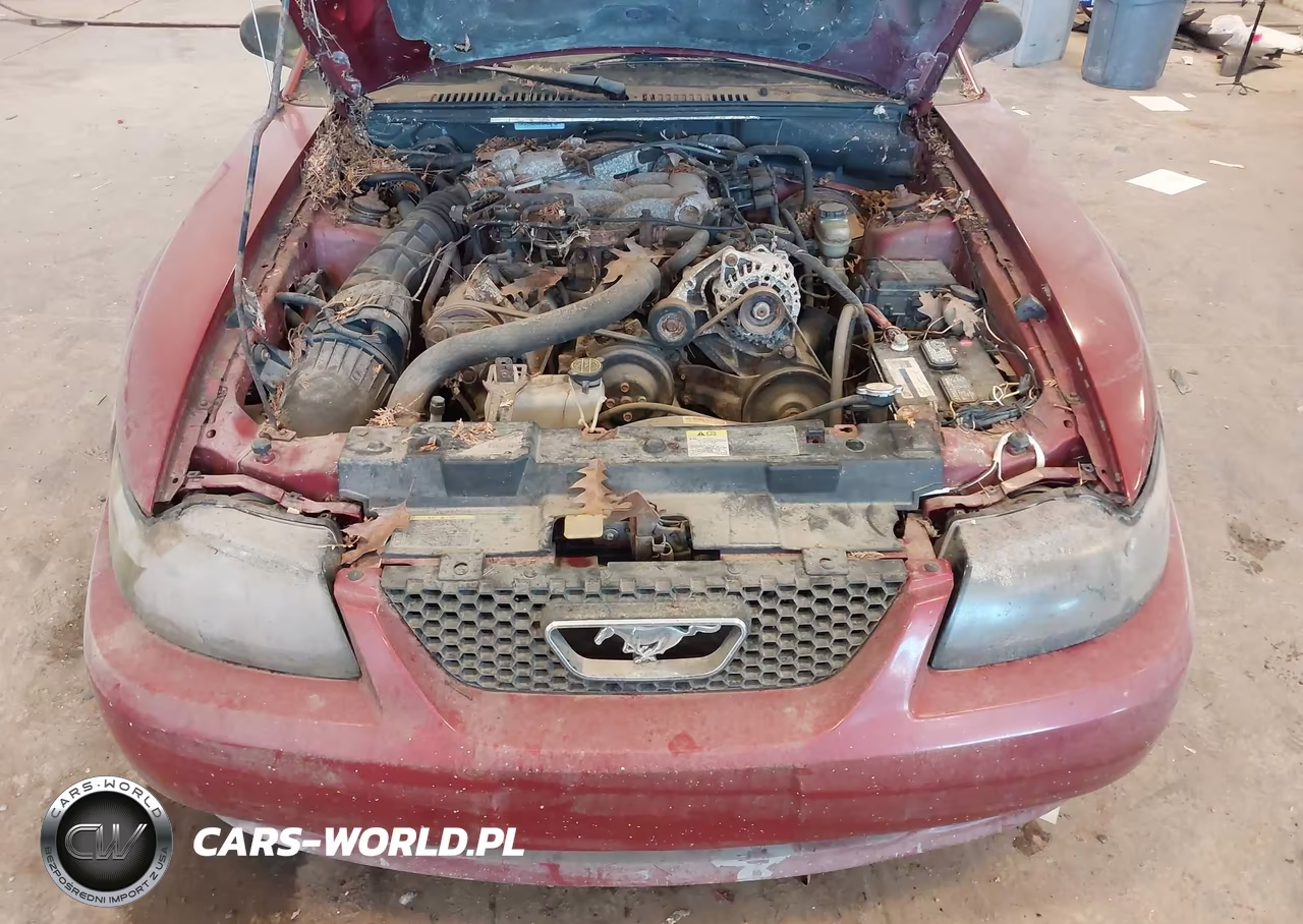 2003 Ford Mustang VIN:1FAFP44403F442892 - 10