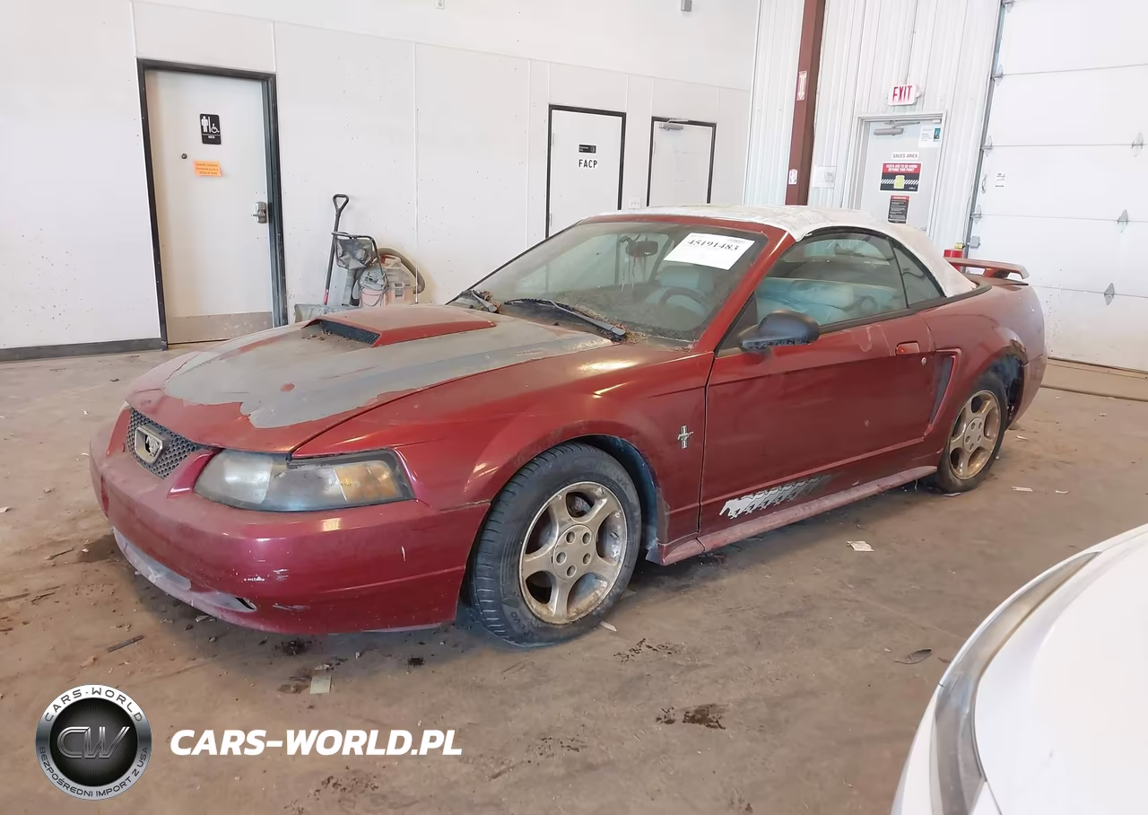 2003 Ford Mustang VIN:1FAFP44403F442892 - 2