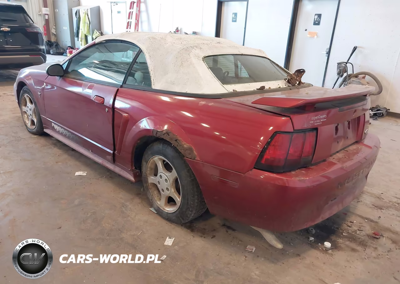 2003 Ford Mustang VIN:1FAFP44403F442892 - 3