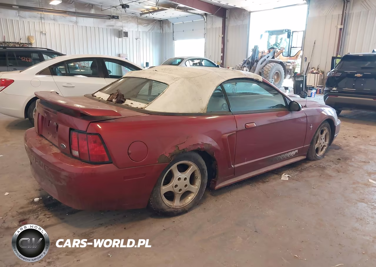2003 Ford Mustang VIN:1FAFP44403F442892 - 4