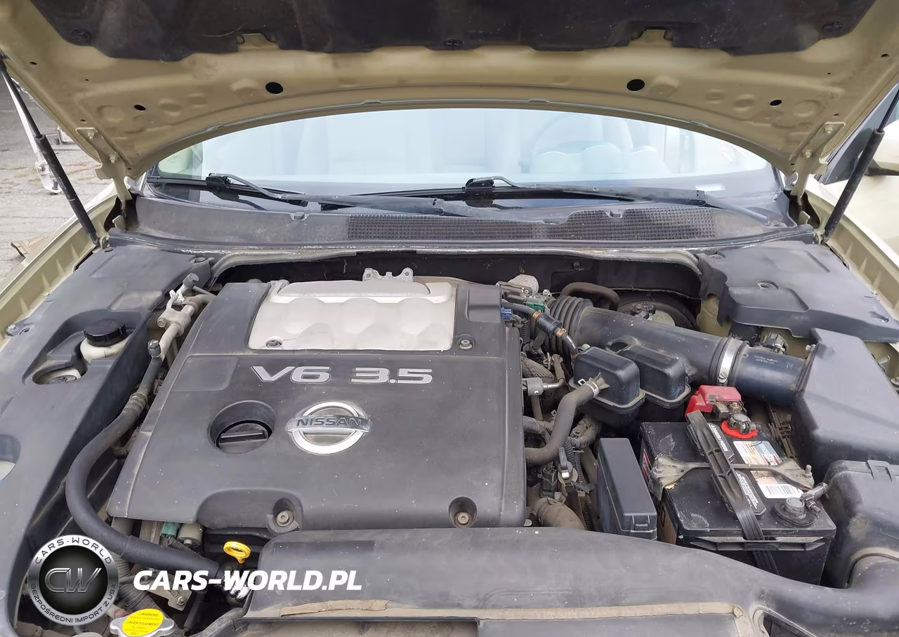 2004 Nissan Maxima 3.5 Sl VIN:1N4BA41E04C825196 - 10