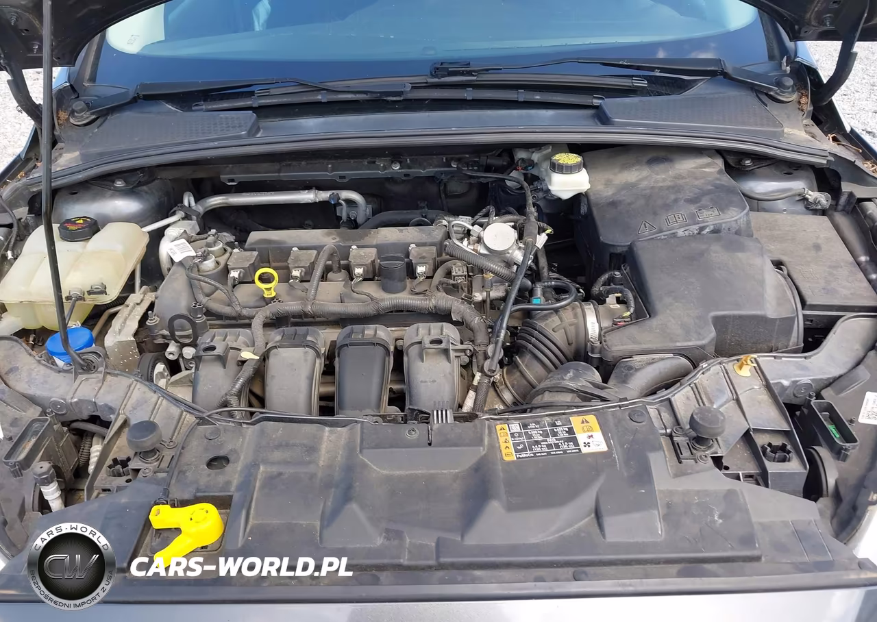 2017 Ford Focus Se VIN:1FADP3F23HL286210 - 10
