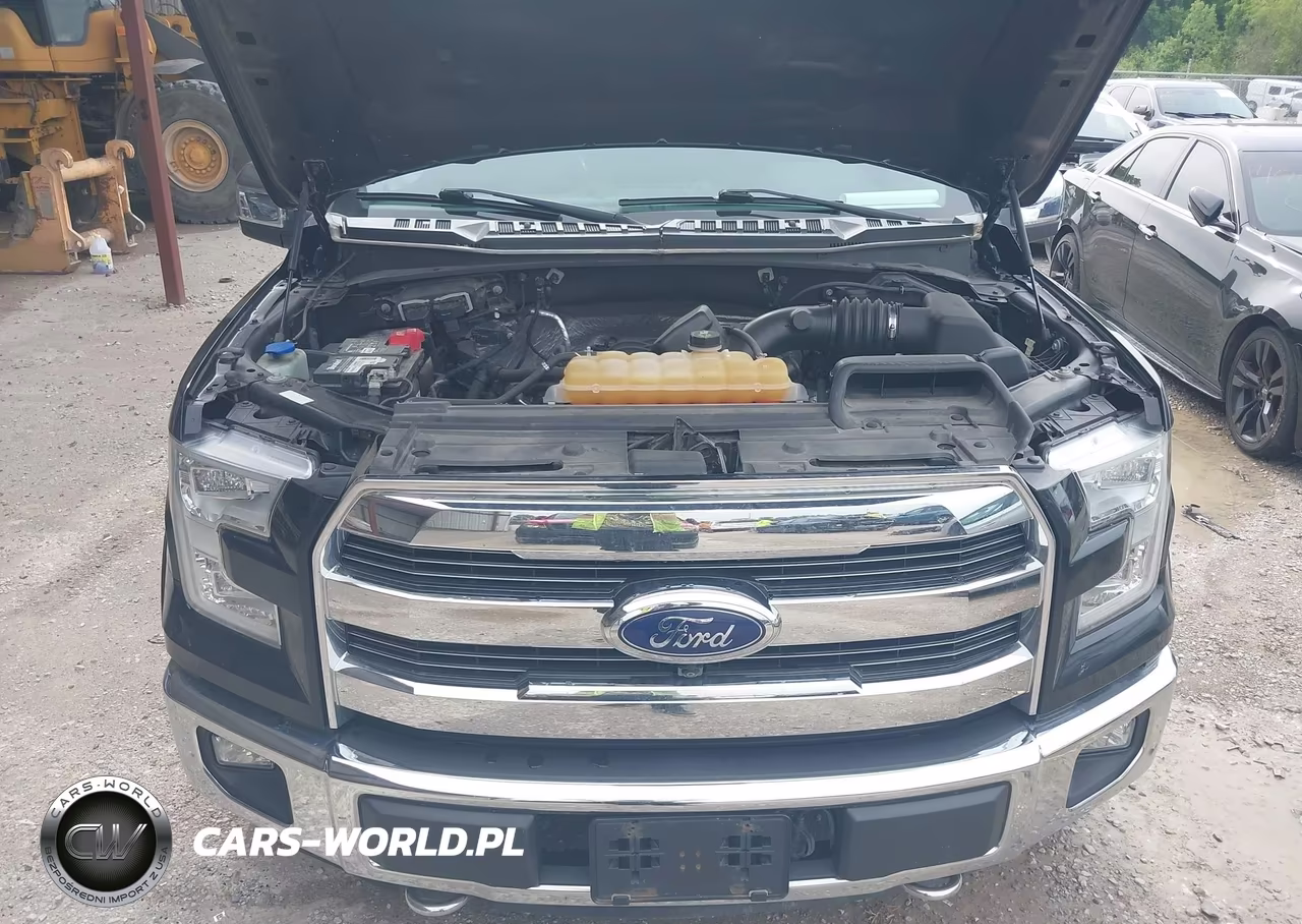 2016 Ford F-150 Lariat VIN:1FTEW1EF5GFA03975 - 10