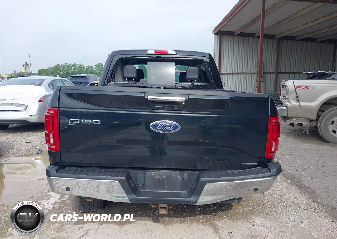 2016 Ford F-150 Lariat VIN:1FTEW1EF5GFA03975 - 17