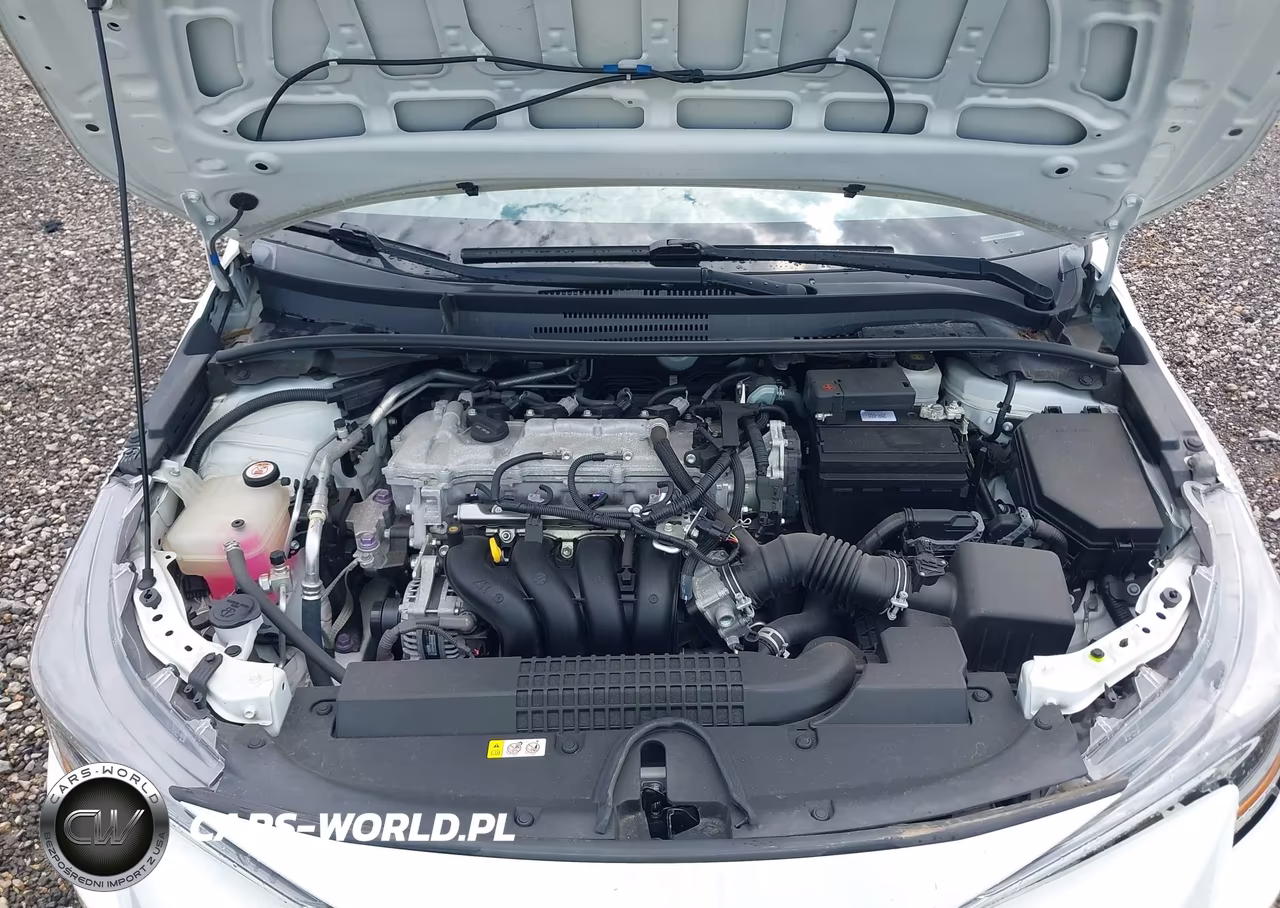 2020 Toyota Corolla Le VIN:5YFEPRAE6LP101585 - 10