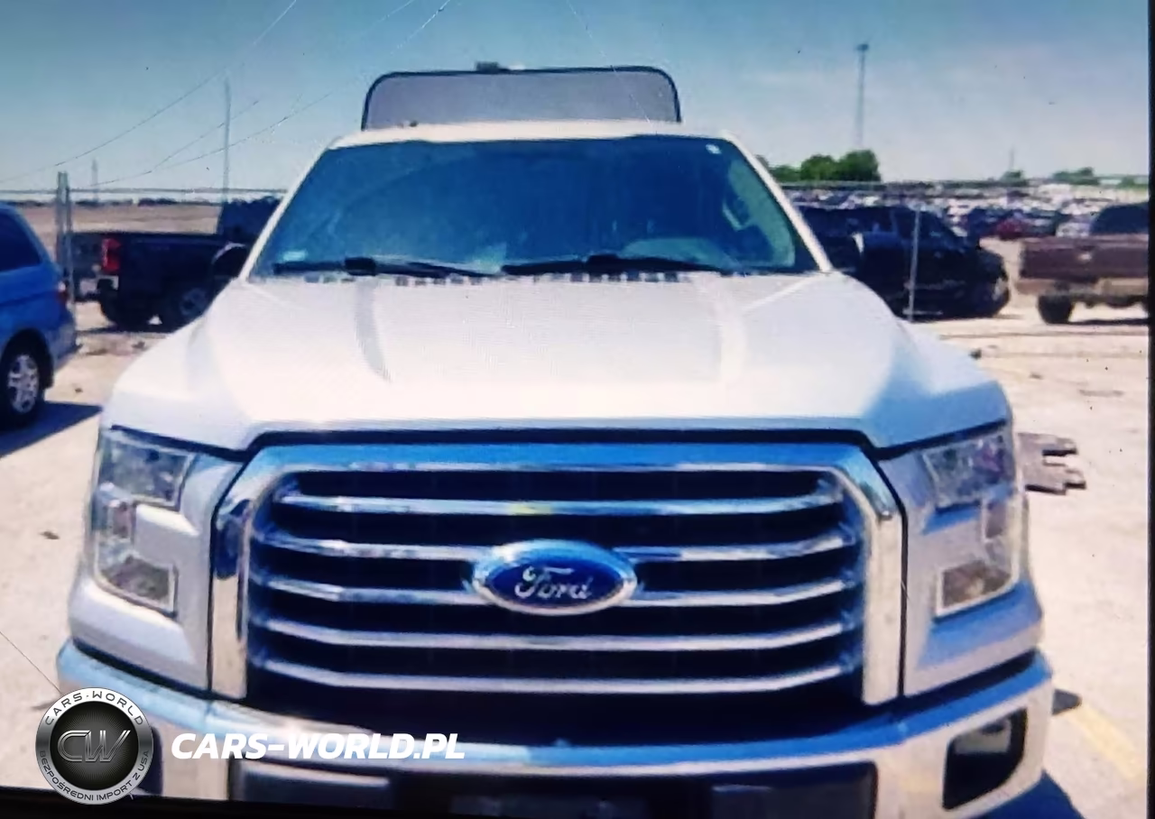 2016 Ford F-150 Xlt VIN:1FTEX1EP7GKG04690 - 12