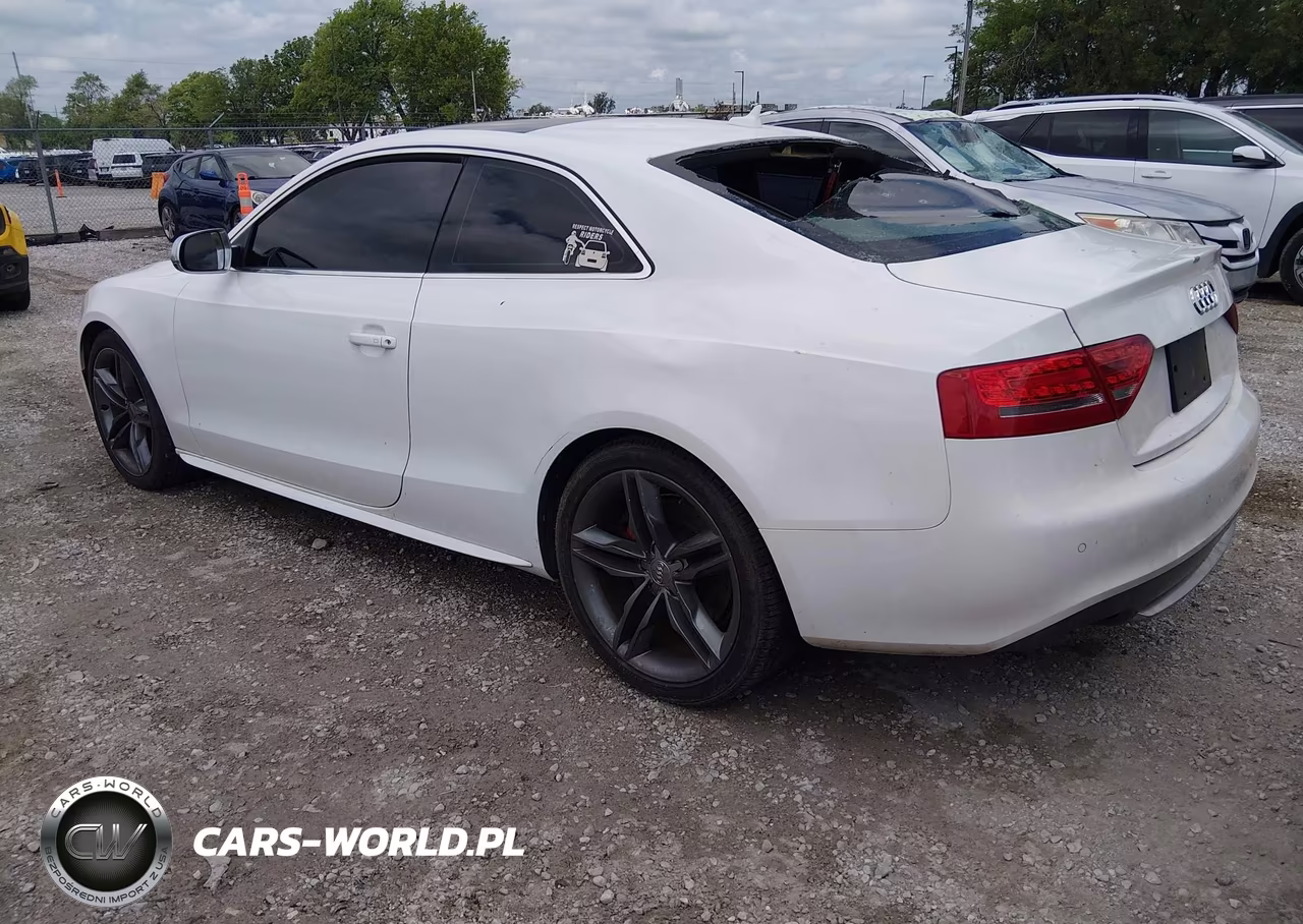 2010 Audi S5 4.2 Premium Plus VIN:WAUVVAFR8AA065304 - 3