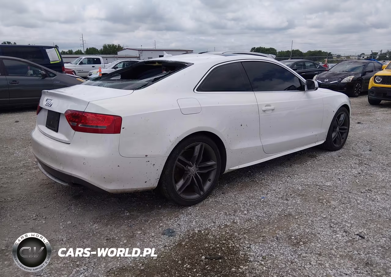 2010 Audi S5 4.2 Premium Plus VIN:WAUVVAFR8AA065304 - 4