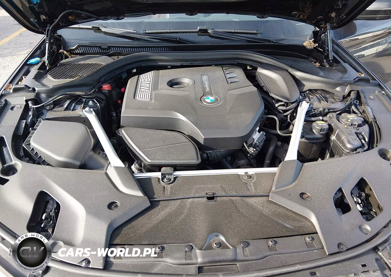 2019 BMW 530I VIN:WBAJA5C5XKWW35102 - 10