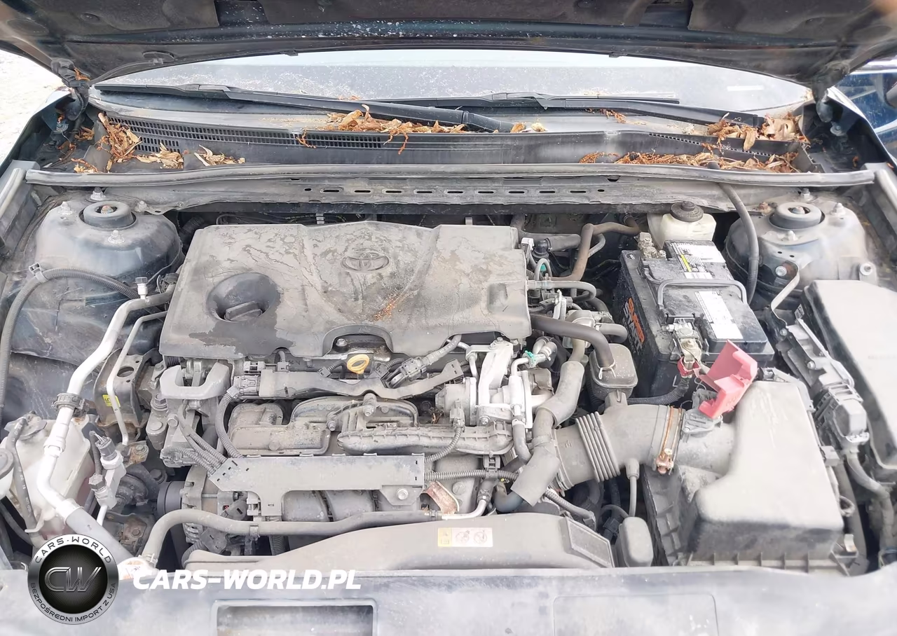 2018 Toyota Camry Se VIN:4T1B11HK1JU642816 - 10