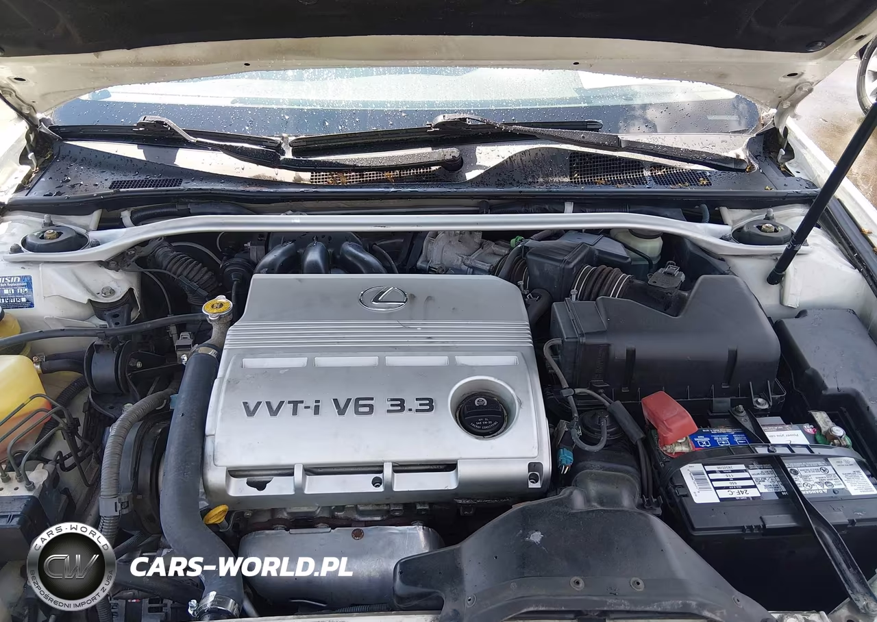 2004 Lexus Es 330 VIN:JTHBA30G640020438 - 10