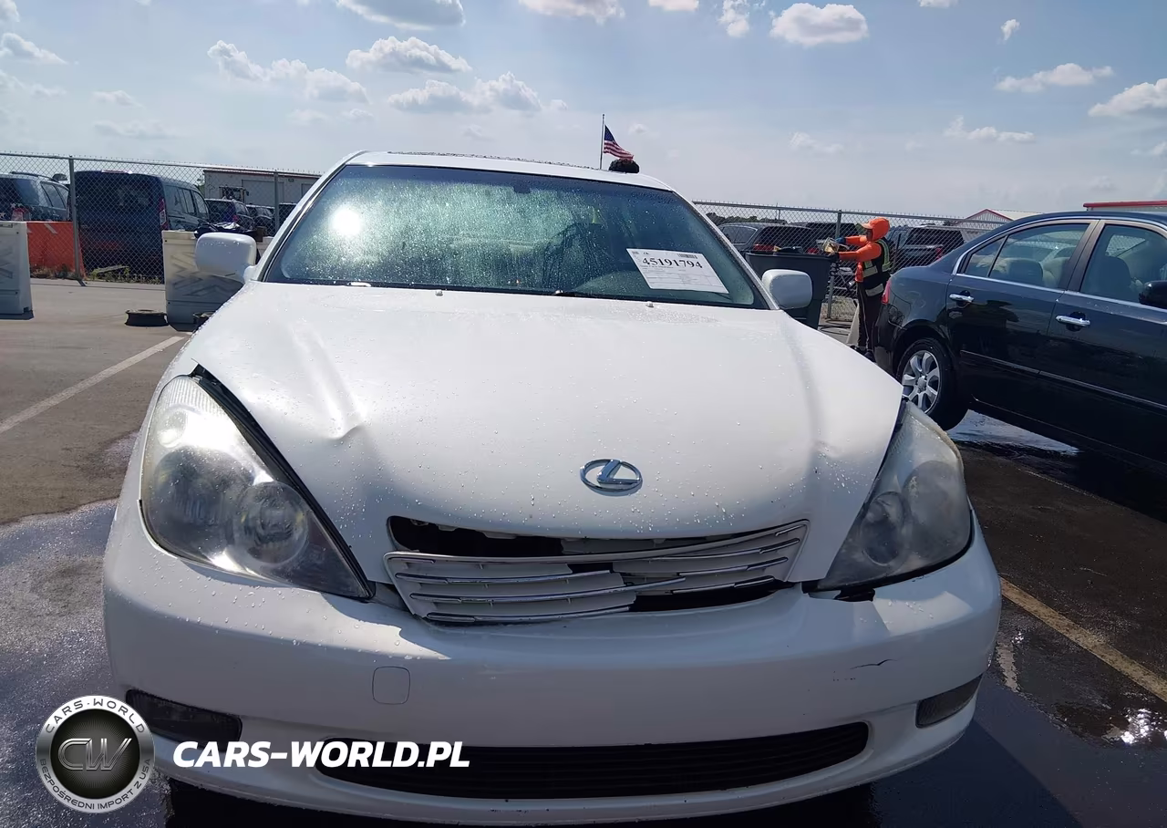 2004 Lexus Es 330 VIN:JTHBA30G640020438 - 12