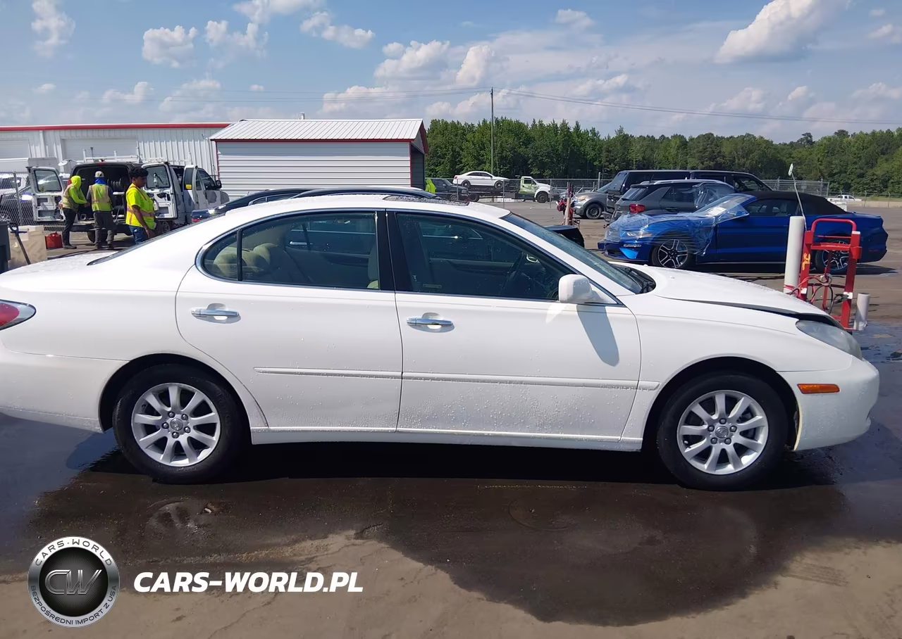2004 Lexus Es 330 VIN:JTHBA30G640020438 - 13