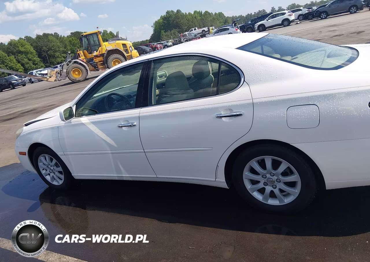 2004 Lexus Es 330 VIN:JTHBA30G640020438 - 14