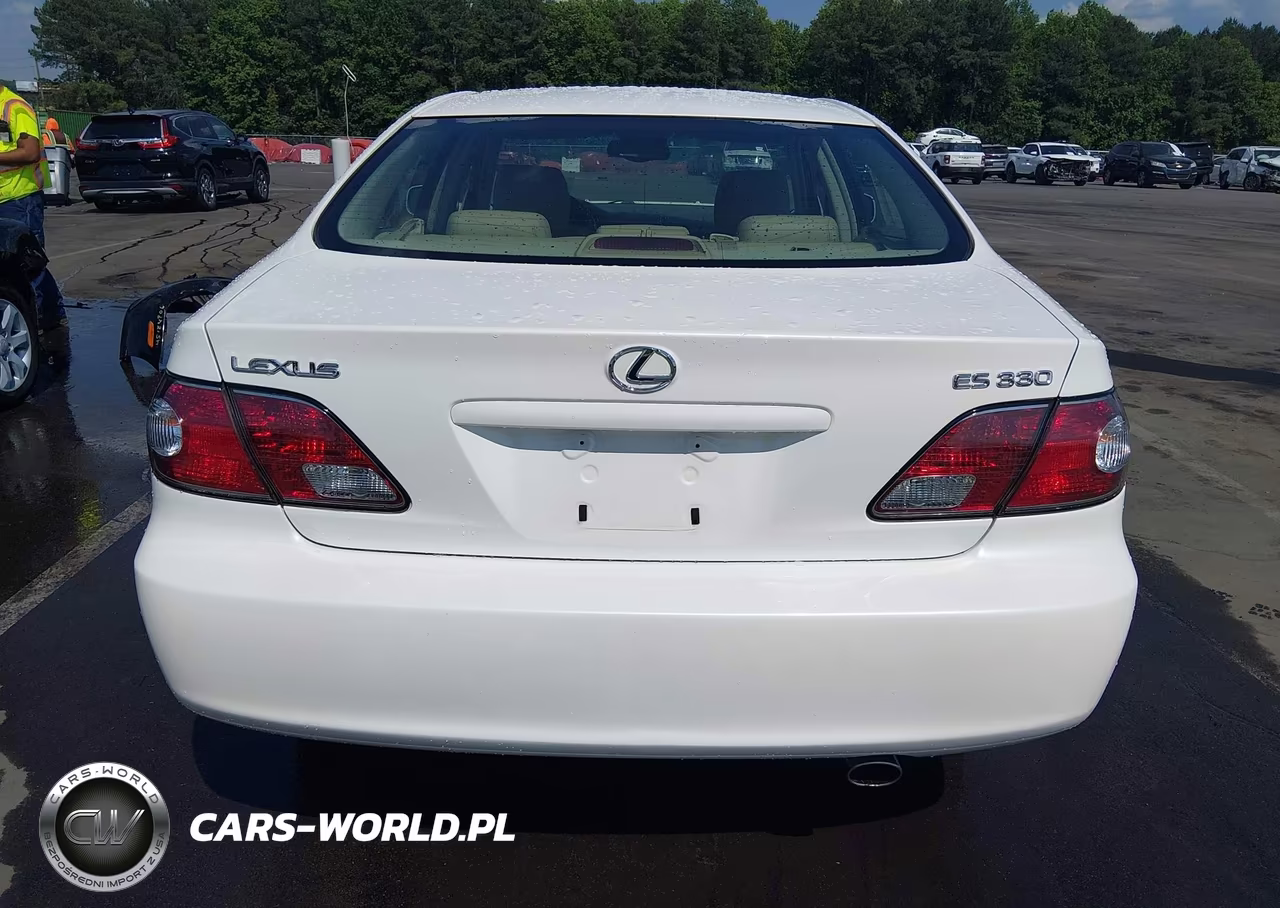 2004 Lexus Es 330 VIN:JTHBA30G640020438 - 16