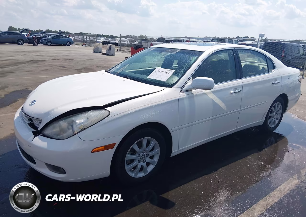 2004 Lexus Es 330 VIN:JTHBA30G640020438 - 2