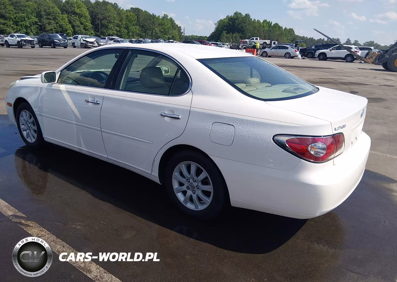 2004 Lexus Es 330 VIN:JTHBA30G640020438 - 3