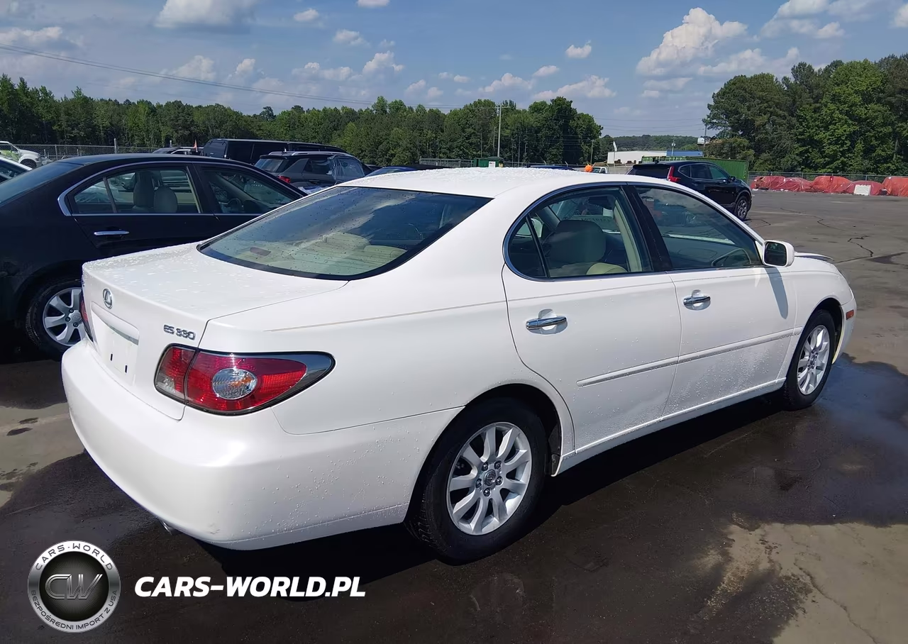 2004 Lexus Es 330 VIN:JTHBA30G640020438 - 4