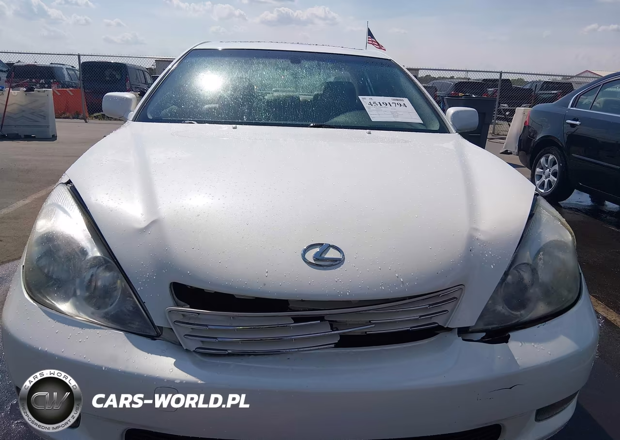 2004 Lexus Es 330 VIN:JTHBA30G640020438 - 6