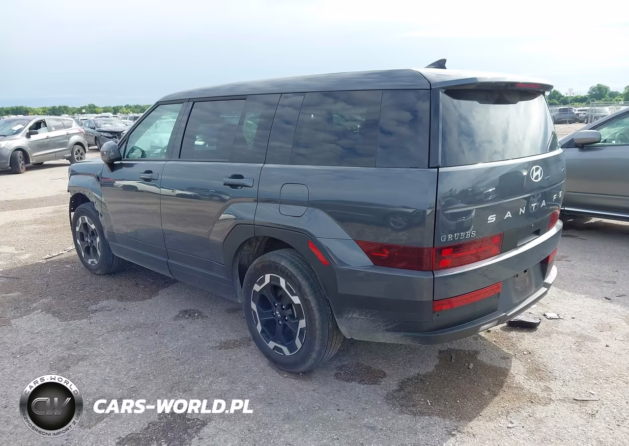 2025 Hyundai Santa Fe Se VIN:5NMP14GLXSH132883 - 3