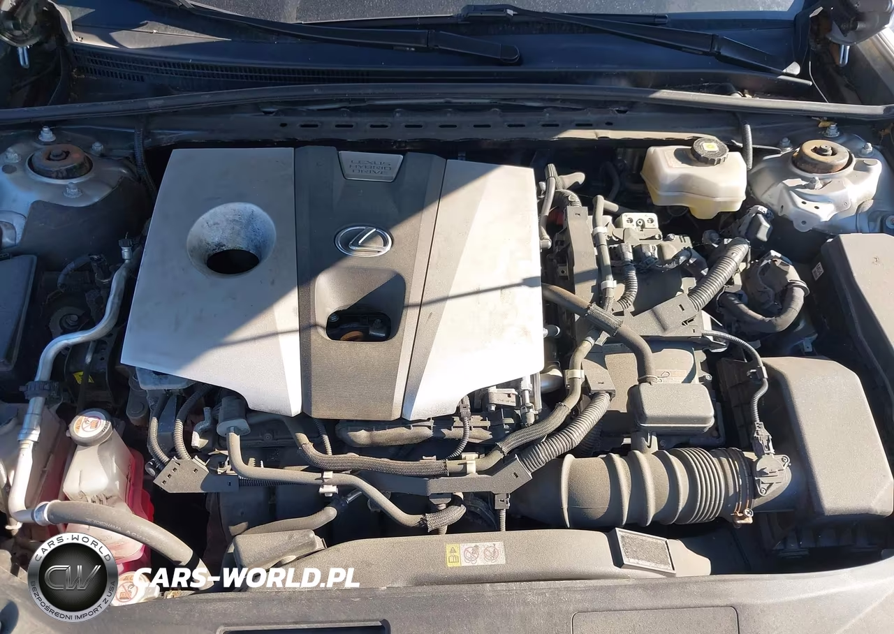 2021 Lexus Es 300H Luxury VIN:58AEA1C11MU002128 - 10