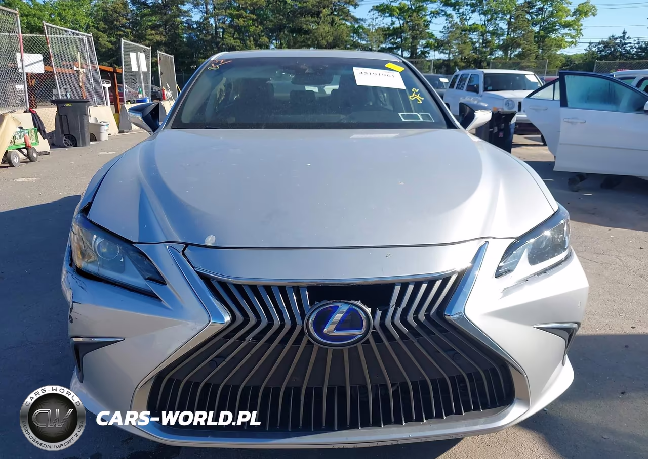 2021 Lexus Es 300H Luxury VIN:58AEA1C11MU002128 - 12