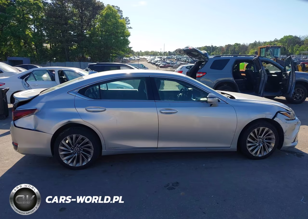 2021 Lexus Es 300H Luxury VIN:58AEA1C11MU002128 - 13