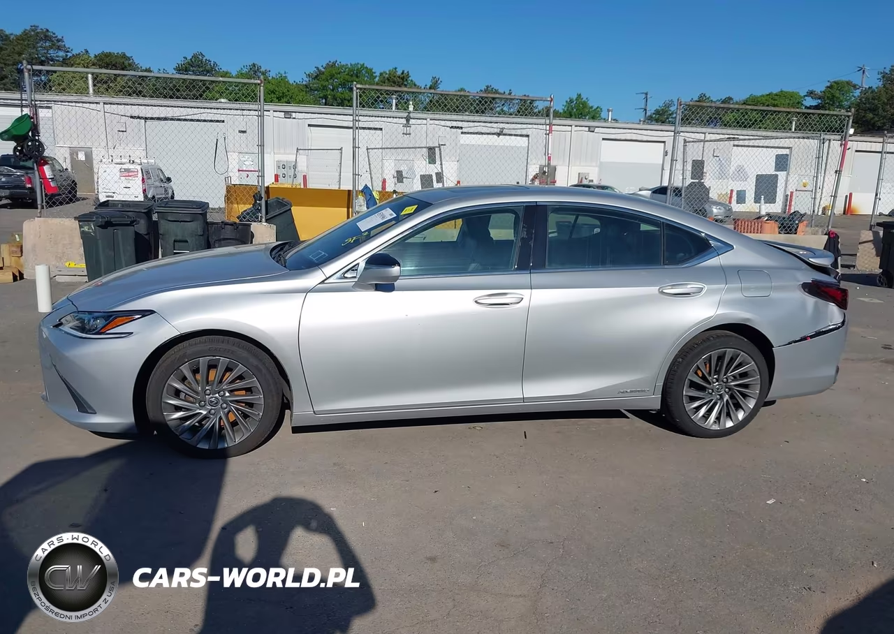 2021 Lexus Es 300H Luxury VIN:58AEA1C11MU002128 - 14