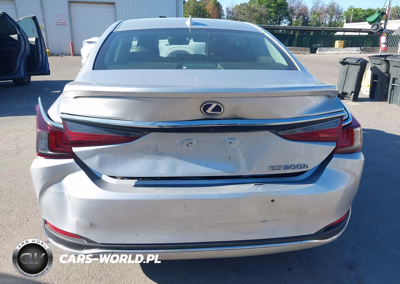 2021 Lexus Es 300H Luxury VIN:58AEA1C11MU002128 - 16