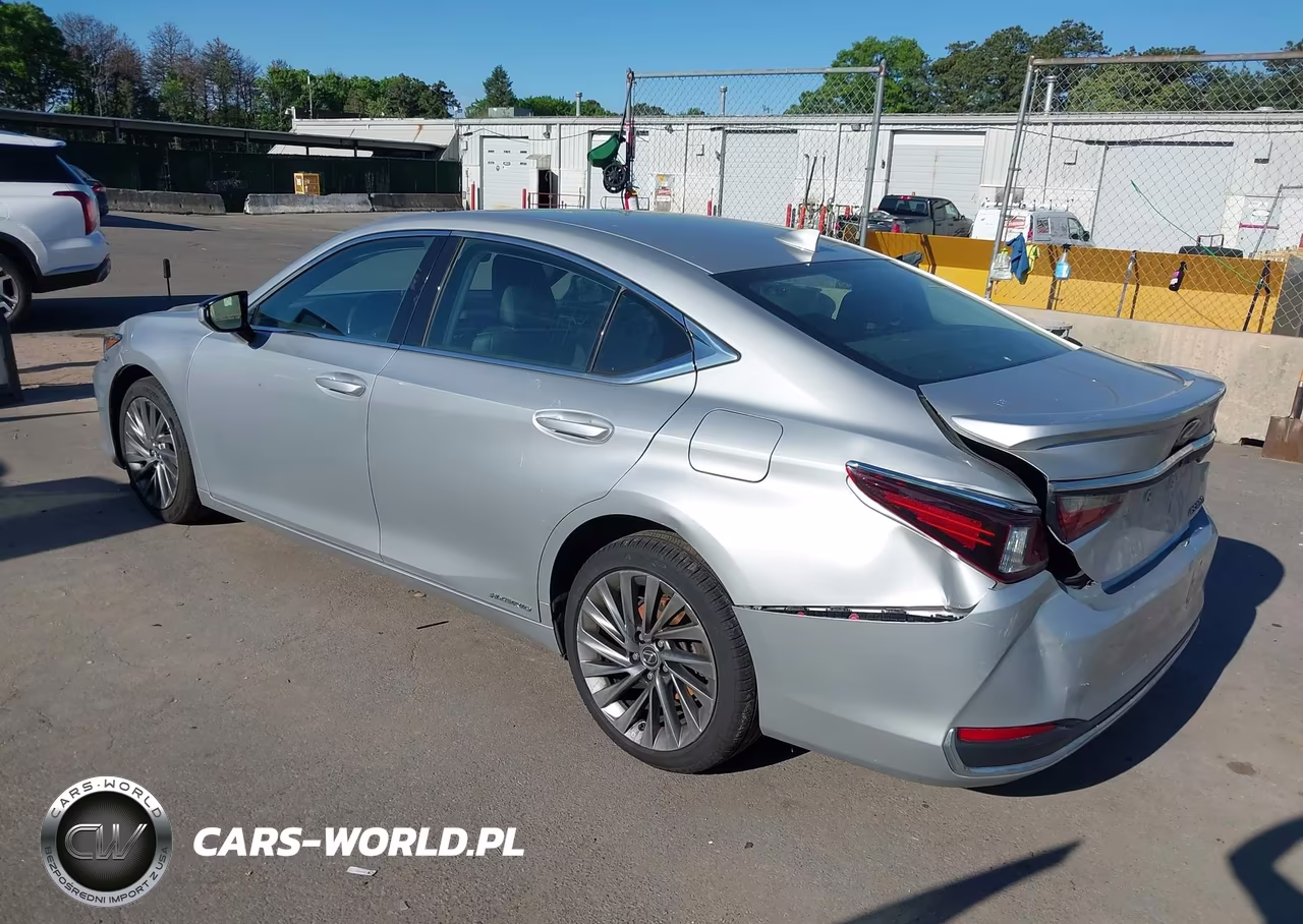 2021 Lexus Es 300H Luxury VIN:58AEA1C11MU002128 - 3